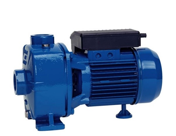 Насос центробежный Speroni NBM 150/A BR
