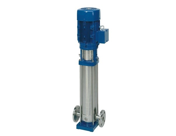 Насос вертикальный многоступенчатый Speroni VS 8-10